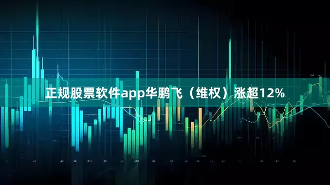 正规股票软件app华鹏飞（维权）涨超12%